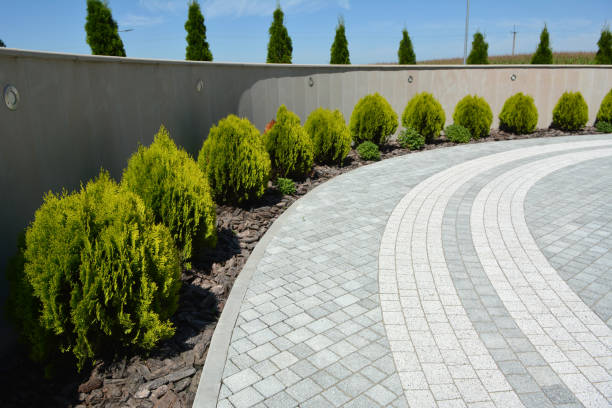 Best Professional Driveway Pavers  in USA